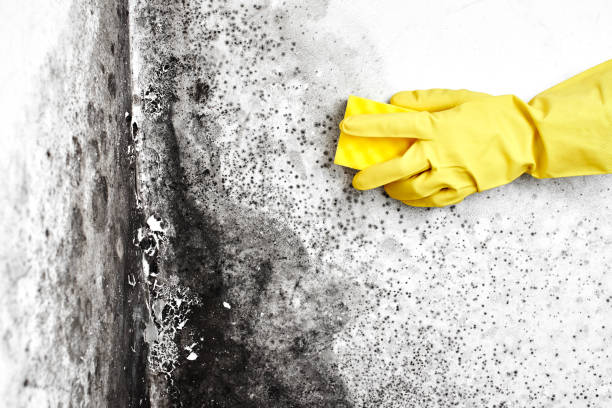Water Damage Restoration in Pelham, GA